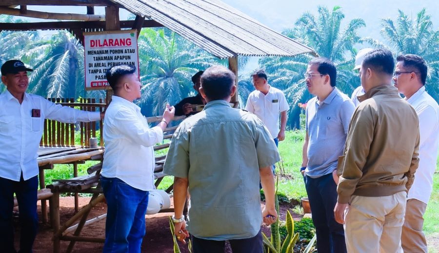 Tanggung Jawab Korporasi PTPN IV PalmCo Patut Menjadi Contoh